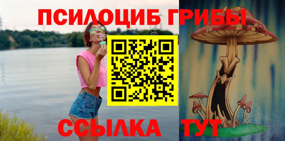 Берёзовский  Галлюциногенные грибы мухоморы  Псилоцибиновые грибы прущие грибы  Вход с VPN 