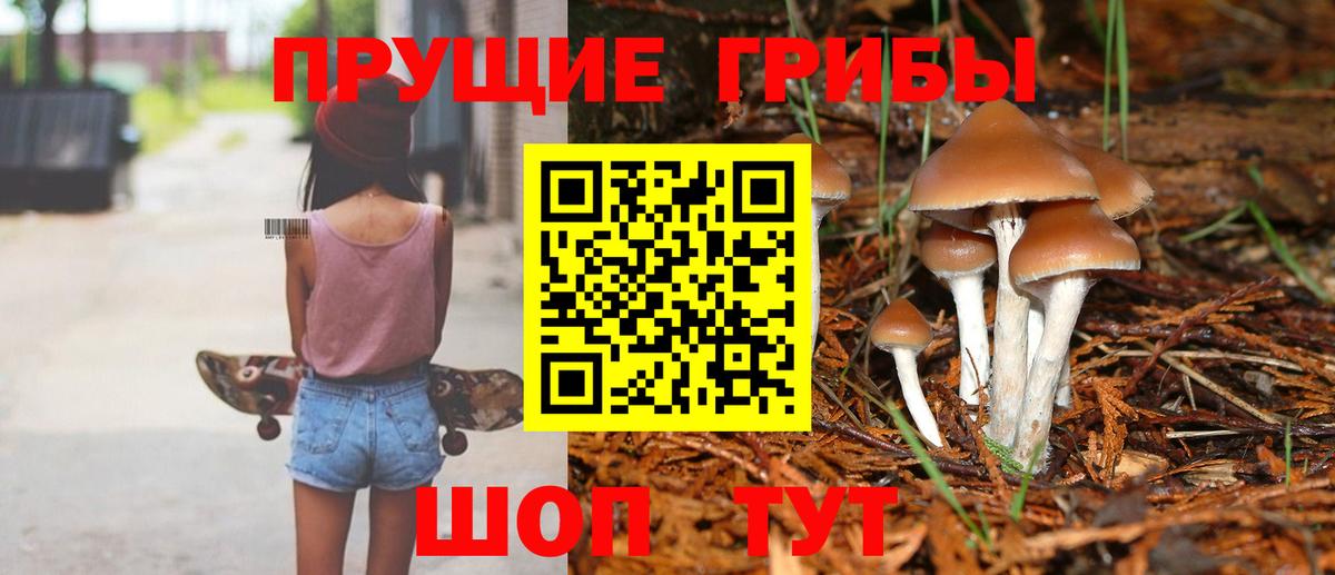 Псилоцибиновые грибы Magic Shrooms Берёзовский