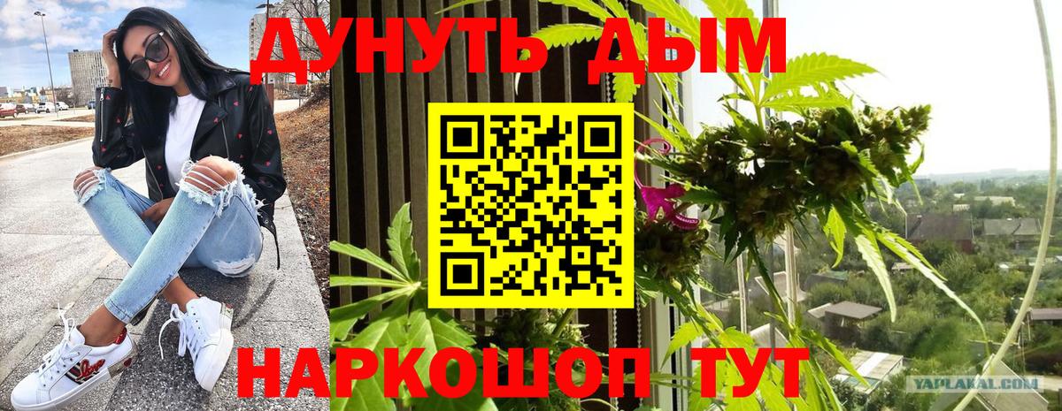 Конопля гибрид  Вход с VPN  Марихуана ГИДРОПОН  Берёзовский  Конопля индика 